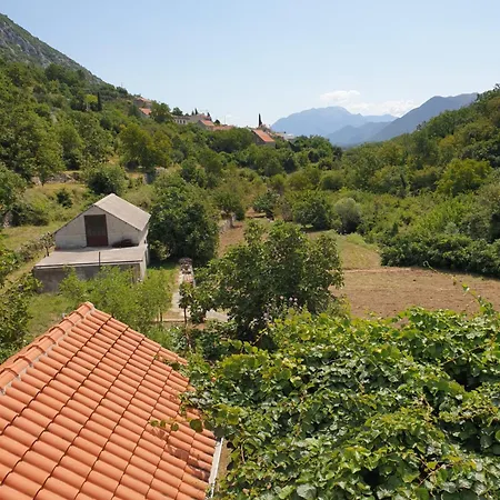 Nature Zvecanje