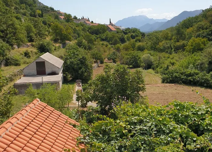 Nature Zvecanje